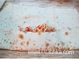 Grill menu. Envelopes of pita with cheese, tomato and basil.