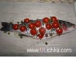 Fish. Sea bass with cherry tomatoes and capers.